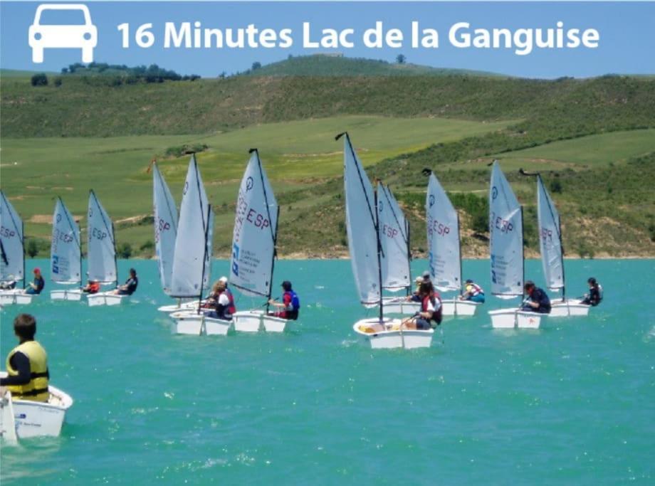 Elegance Lauragaise * Wifi * Netflix * Terrasse Appartement *